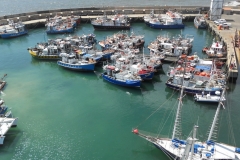 DSCN2921_resize