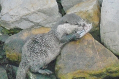 DSCN3023_resize