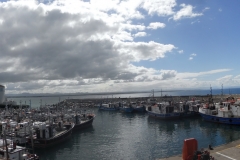 DSCN3181_stitch_resize