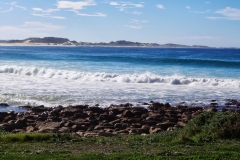 DSC00336