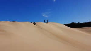 DSC00265